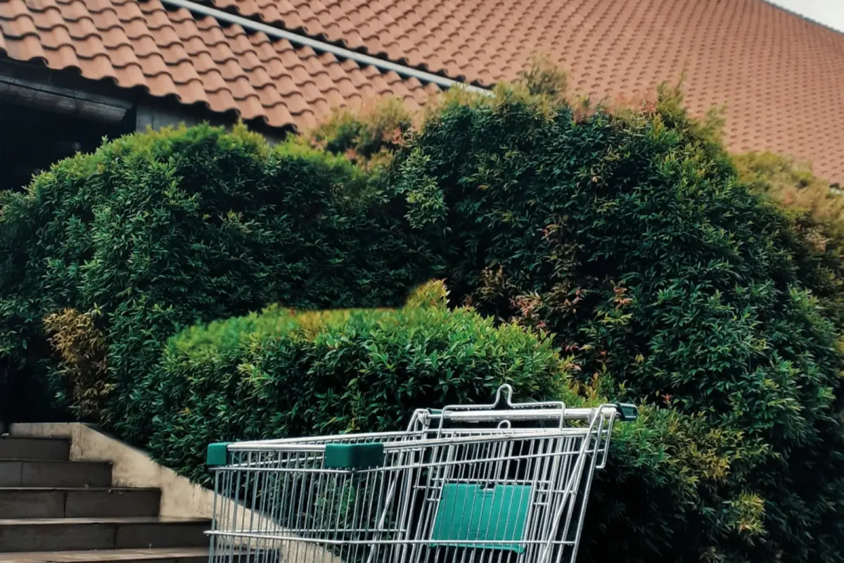 October Sales vs. Black Friday: Which One Is Actually Worth Waiting For?
