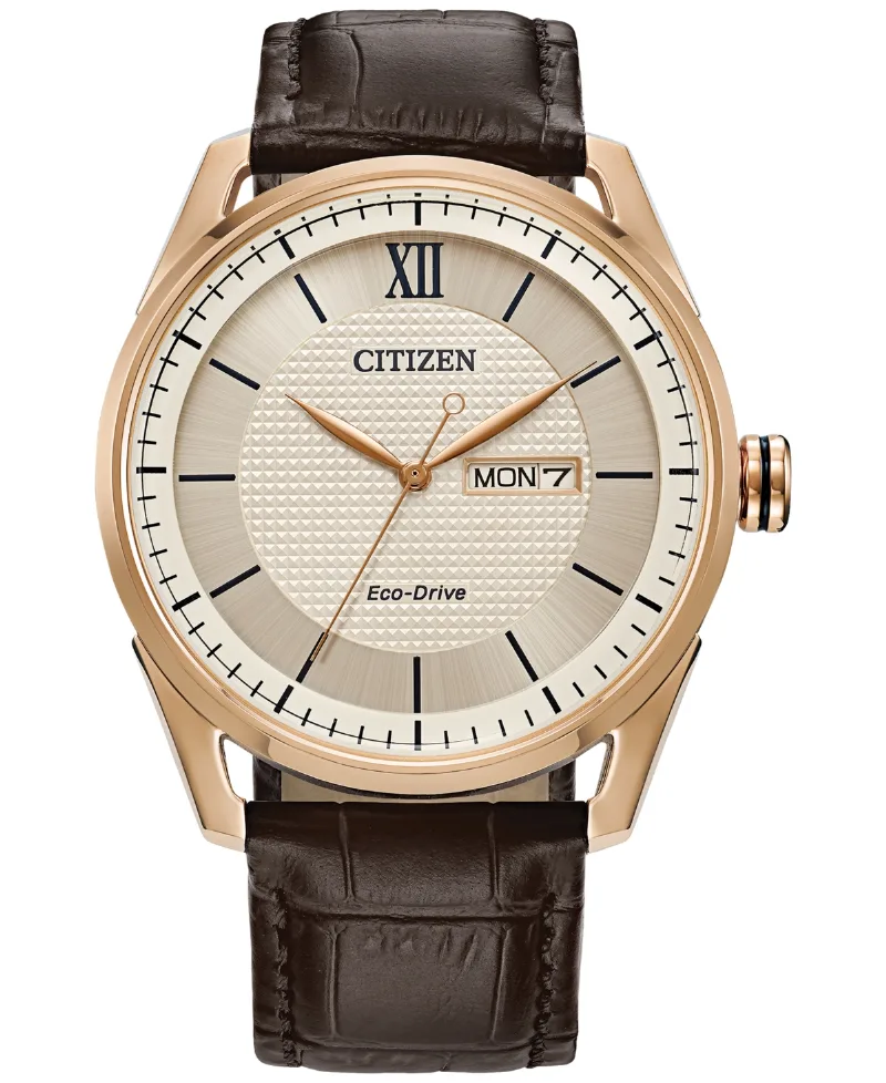 Citizen Eco-Drive Men's Brown Leather Strap Watch 42mm - Brown