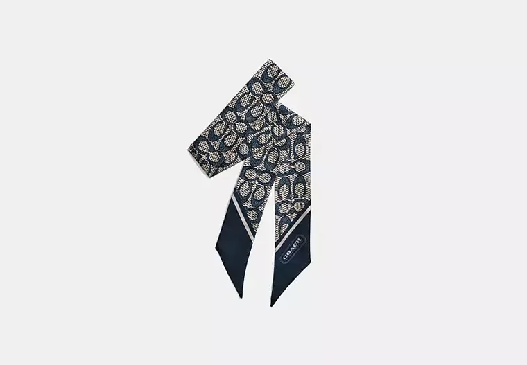Textured Signature Print Silk Skinny Scarf