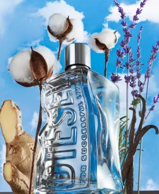Diesel D By Diesel Eau De Toilette Fragrance Collection