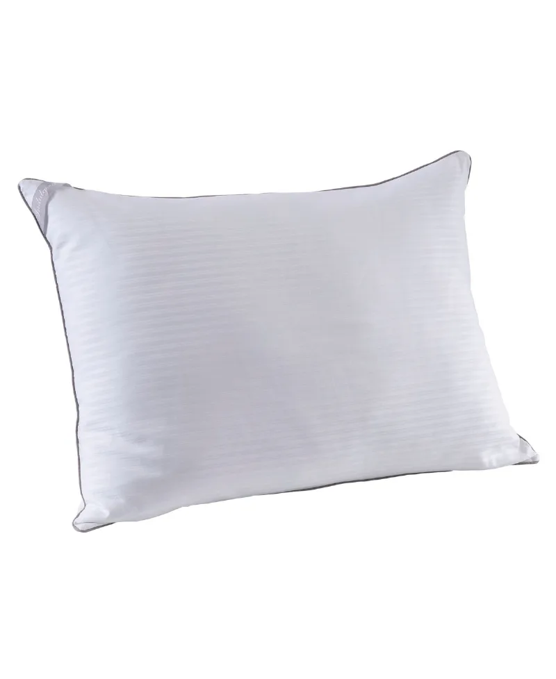 Indulgence by Isotonic 500-thread-count 100% Cotton Cover Back/Stomach Sleeper Pillow, Standard/Queen - White
