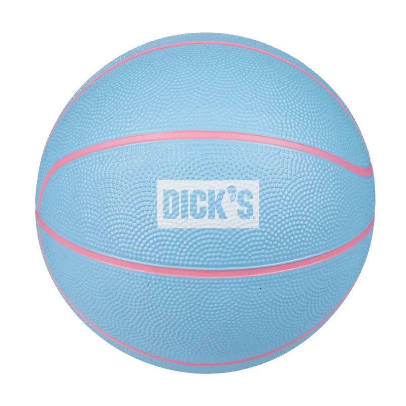 Dick's Sporting Goods Mini Basketball