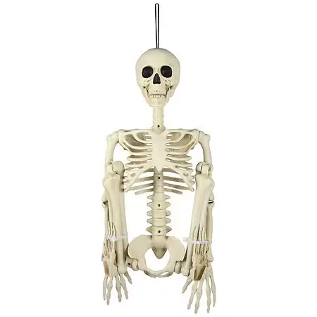 Festive Voice Skeleton 3 ft - 1.0 ea