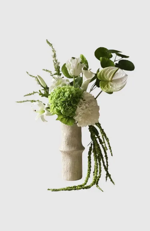 Botane Greenie at Nordstrom