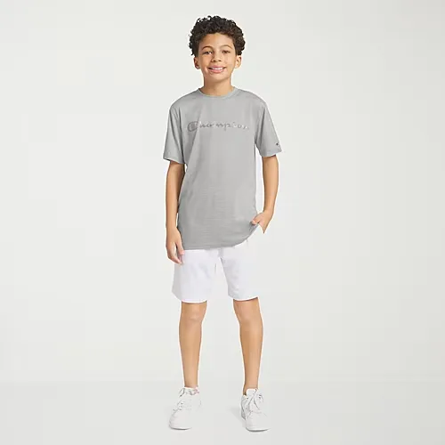 Champion Big Kid Boys Round Neck Short Sleeve Regular Fit Graphic T-Shirt, X-large (18-20), Gray