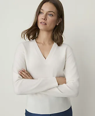 Ann Taylor V-Neck Sweater in Cashmere