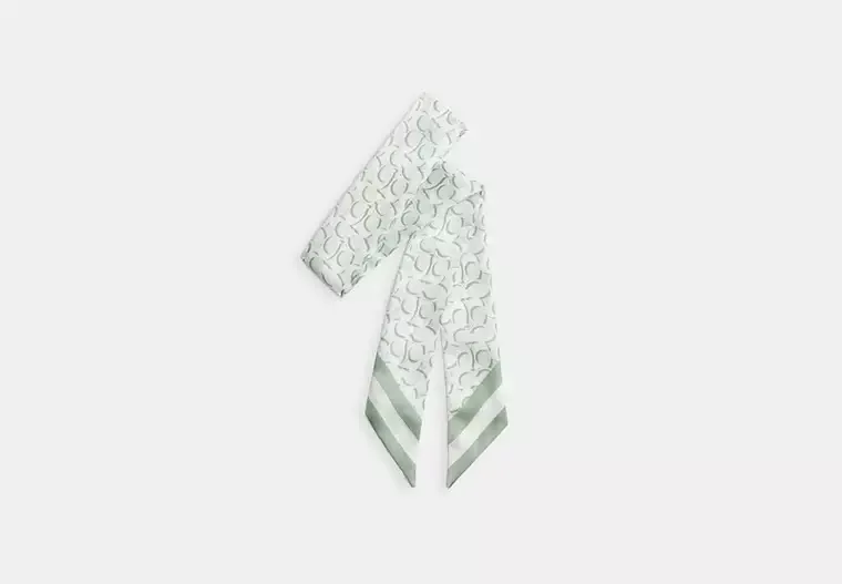 Signature Print Silk Skinny Scarf