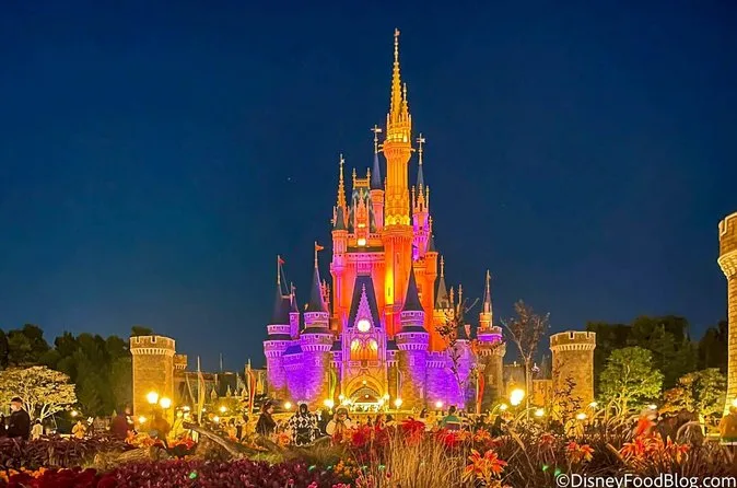 Ticket to Tokyo Disneyland with options