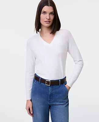 Ann Taylor V-Neck Sweater