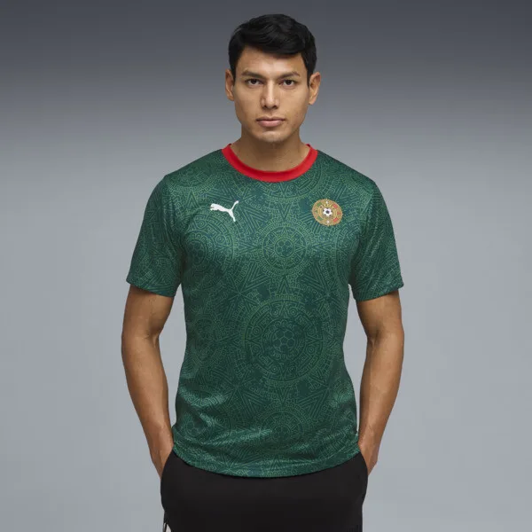 Jersey PUMA Fanpack México para Hombre en Talle XL Varsity Green/PUMA White