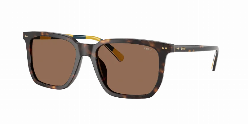 POLO RALPH LAUREN Man Sunglasses PH4224F  -  Frame color: Shiny Dark Havana, Lens color: Dark Brown