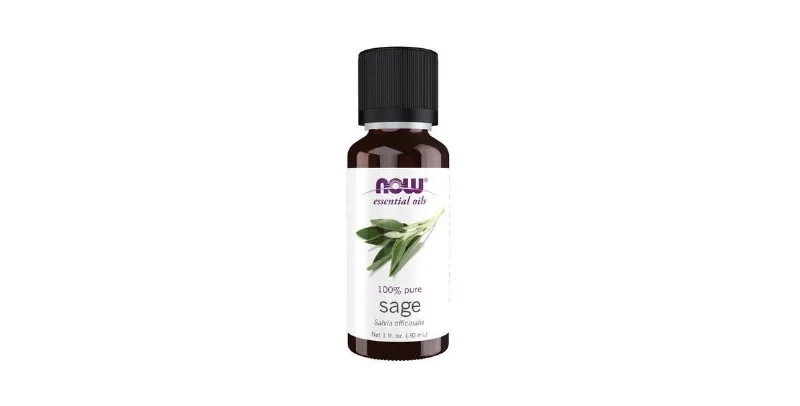 Essential Oils Now by NOW Essential Oils SAGE OIL 1 OZ for UNISEX
