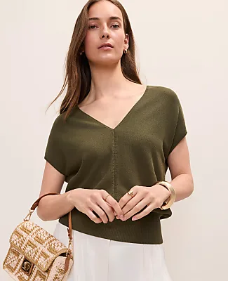 Ann Taylor V-Neck Sweater