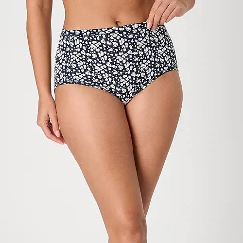Hanes Womens Average + Full Figure Brief Panty 40w5cs, 6, Blue