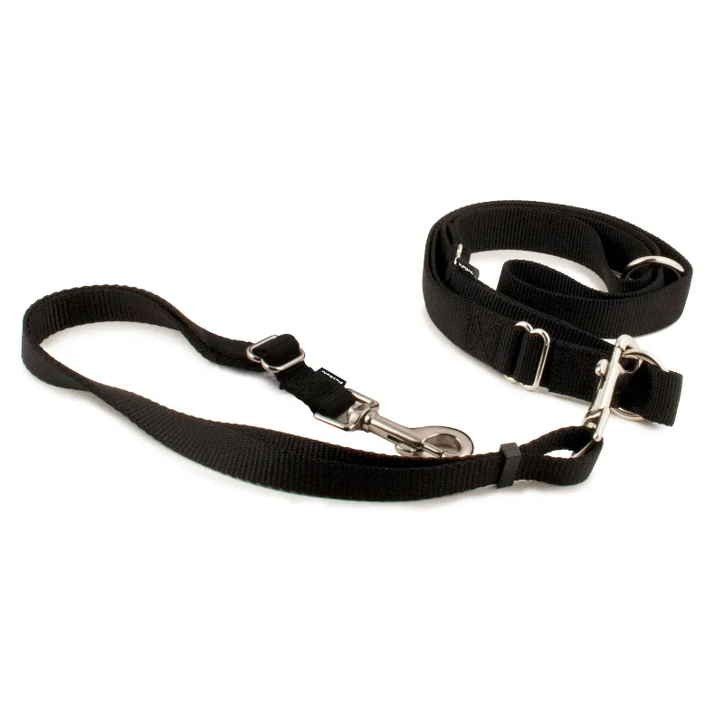 Petsafe Nylon Hands-Free Dog Leash | PetSmart