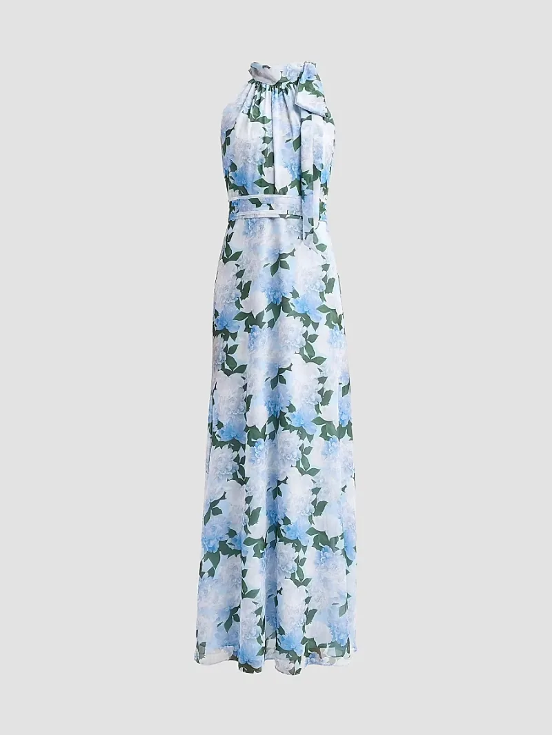 SACHIN BABI Women's Diana Chiffon Floral Gown - Glacial Peonies - Size 8