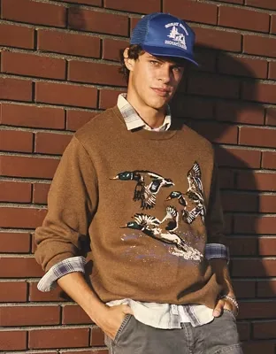 AE Graphic Crew Neck Sweater