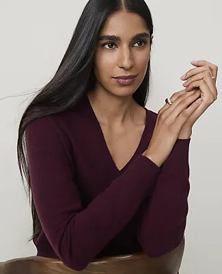 Ann Taylor V-Neck Sweater